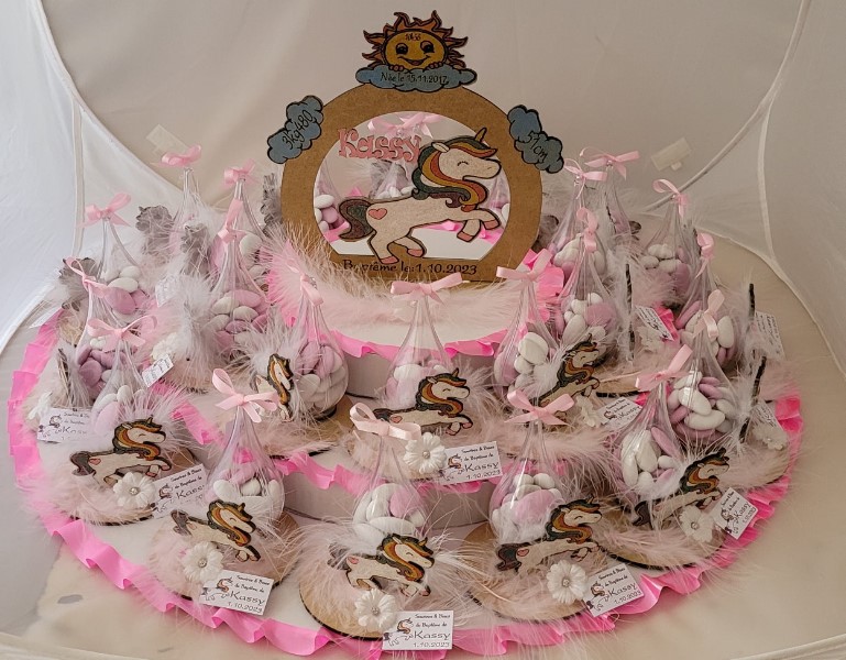 ../Images/plateau licorne kassy sep2024.jpg